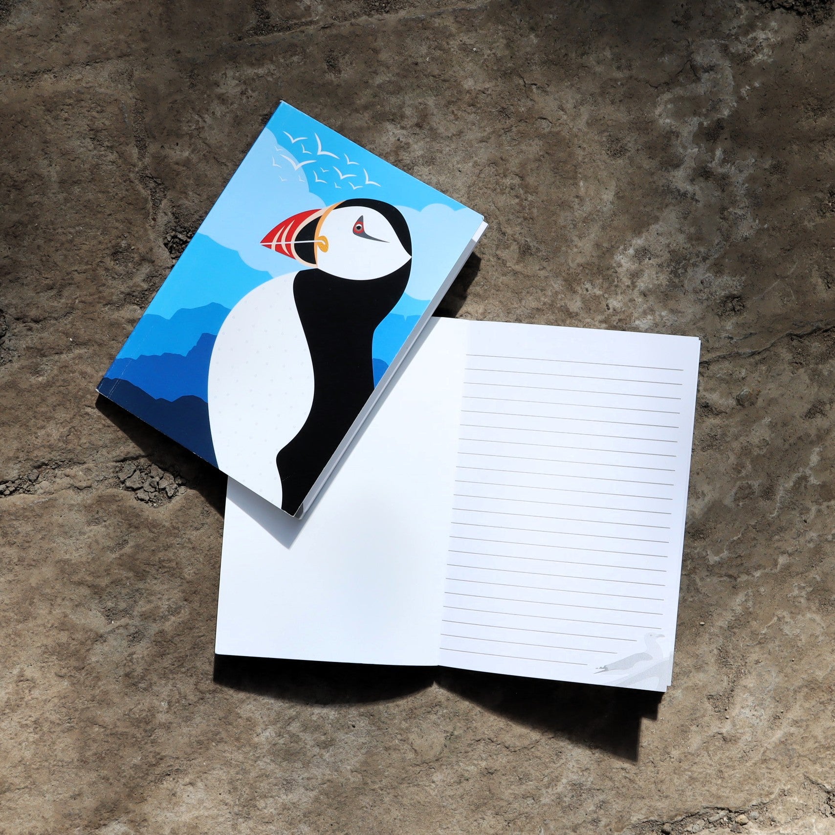 Ben Marriott Notebook