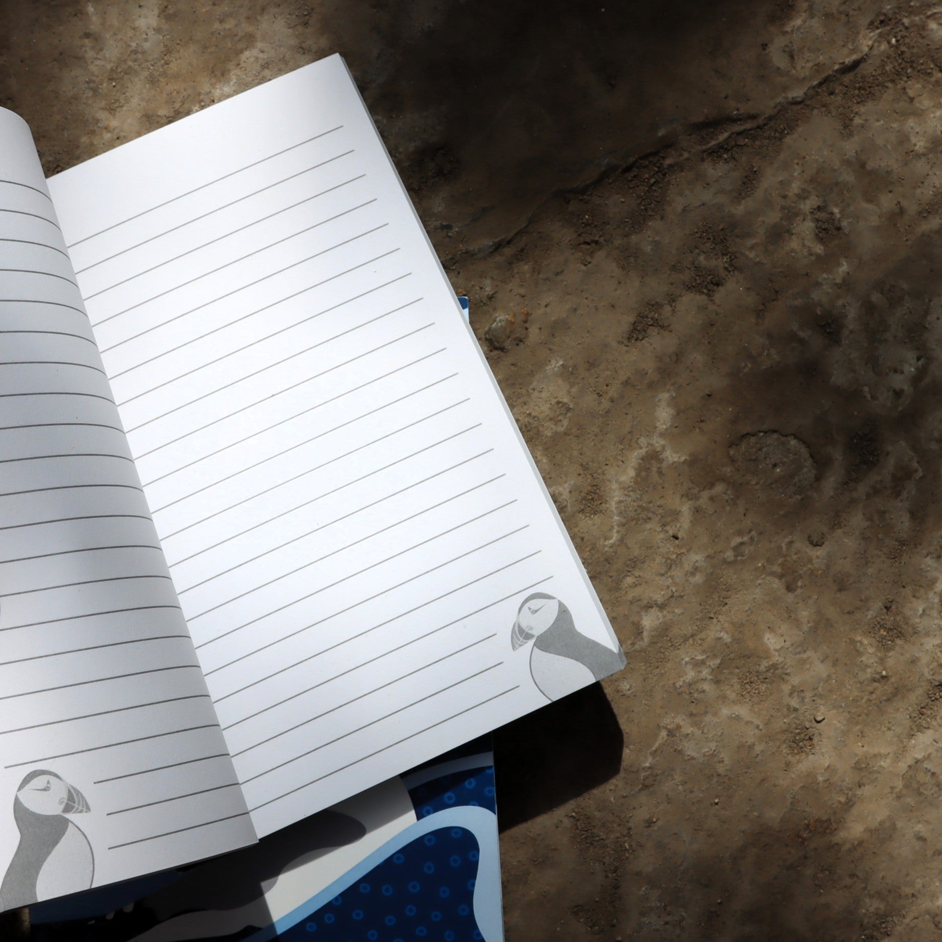 Ben Marriott Notebook