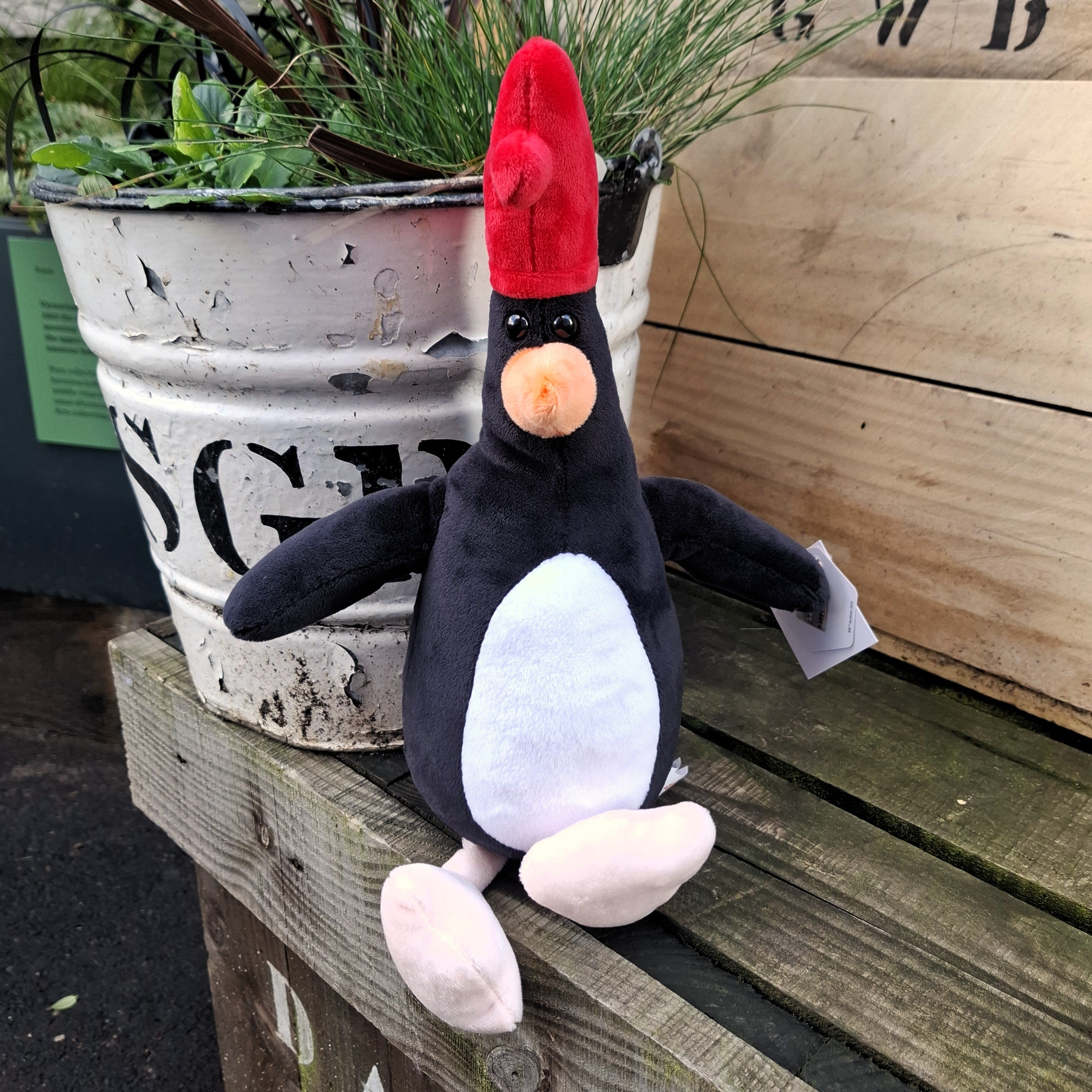 Feathers Soft Toy