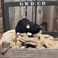 Rattus Rattus