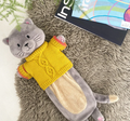 Cat in Jumper Hot Water Bottle