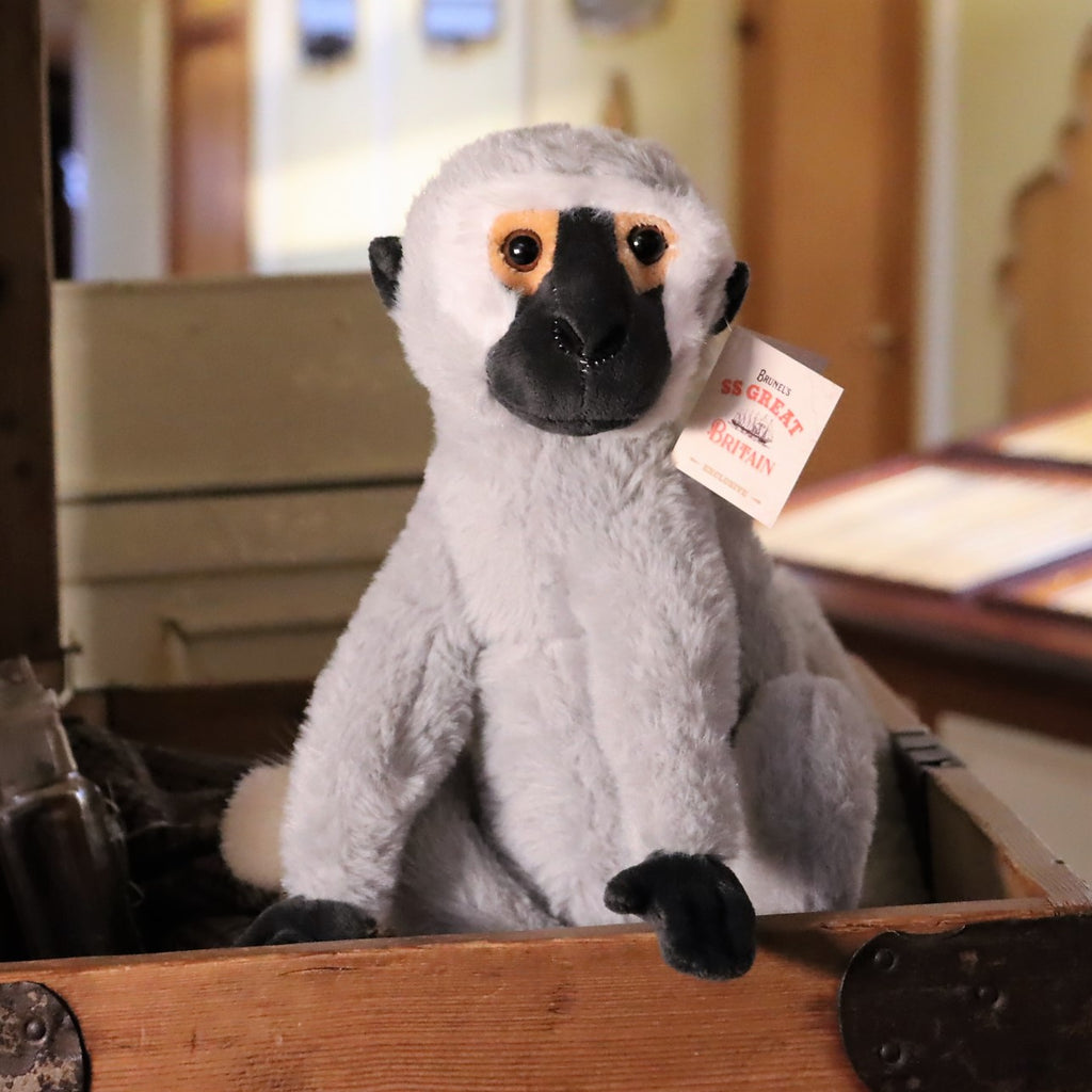 A plush toy of a Vervet monkey with a tag attached, sitting inside a wooden box.